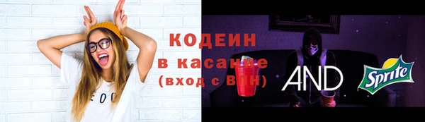 ECSTASY Михайловск